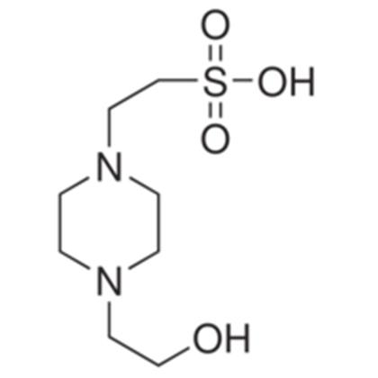 HEPES, 1M Sterile Solution (N-(2-Hydroxyethyl)piperazine-N′-(2-ethanesulfonic acid))