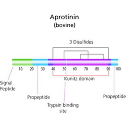 APROTININ, Bovine Lung. Lyophilized Powder
