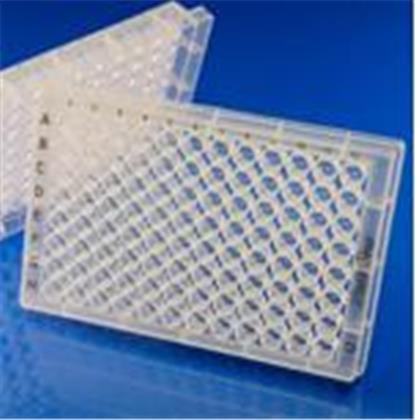 96-Well Microplate, Round Wells with Flat Bottoms, PP (Sterile)