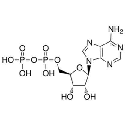 ADENOSINE-5-DIPHOSPHATE, Disodium Dihydrate    