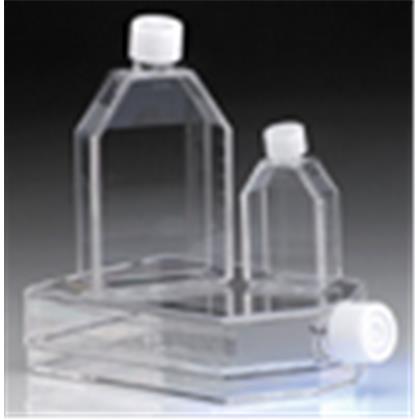 CytoOne Non-treated Flask (Hücre Kültürüne Uygun)