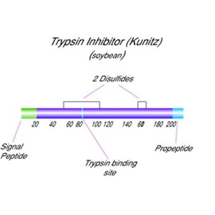 TRYPSIN INHIBITOR, Soybean Partially Purified