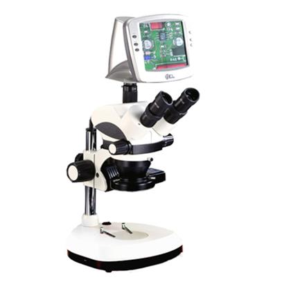 Video Zoom Stereo Microscopes