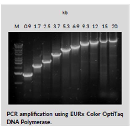 Color OptiTaq DNA Polymerase (Dyes-traced Proofreading Blend & Long PCR)