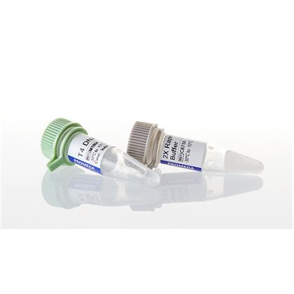 SpeedyLink DNA Ligation Kit (Rapid DNA Ligation Kit)