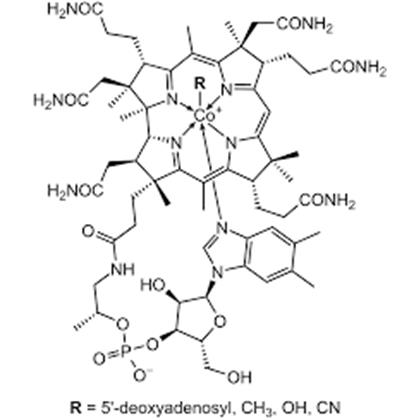 VITAMIN B12  