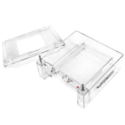 Mini Horizontal Gel Electrophoresis System
