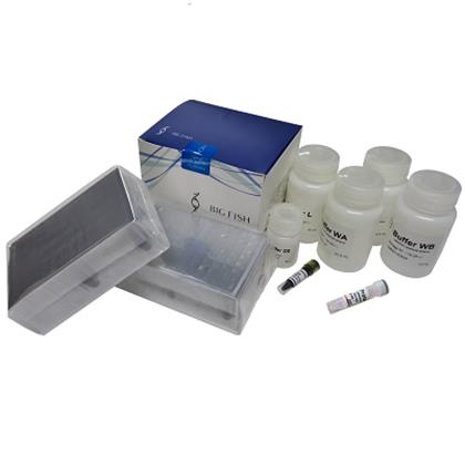 MagaPure Bacteria Genomic DNA Purification Kit 40T/box