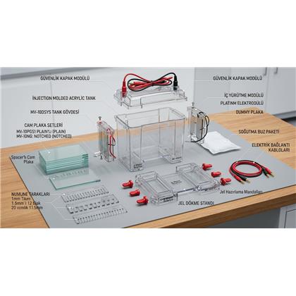 Mini Vertical Gel Electrophoresis Apparatus (Dikey Elektroforez Sistemi) 