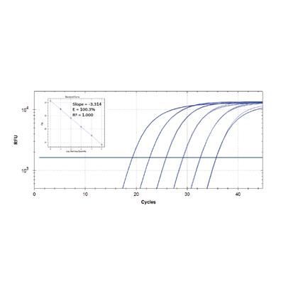 SolisFAST Probe qPCR Mix (no ROX)