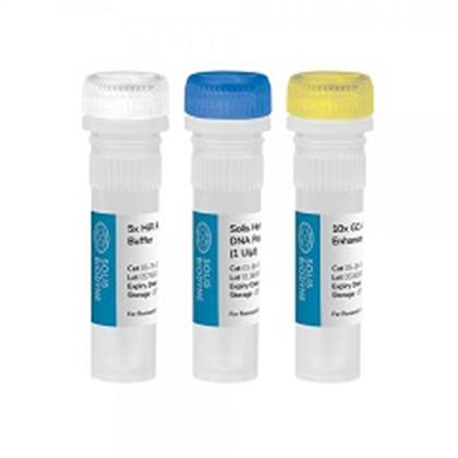 Hot Start HiFi DNA Polymerase Kit (High Fidelity Taq DNA Polymerase)