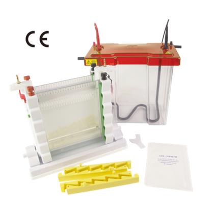 Maxi WAVE Vertical Electrophoresis System (Maxi Dikey Elektroforez Sistemi)