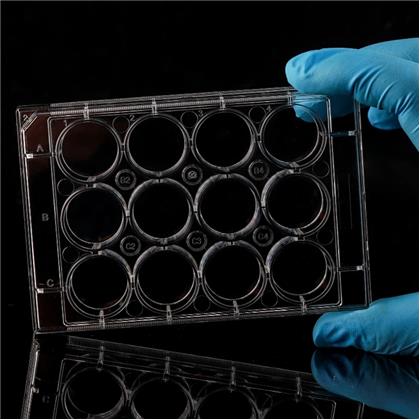  12 Well Cell Culture Plate, Flat, TC, Sterile, 1/pk, 50/cs