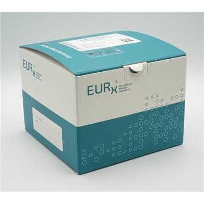 GeneMATRIX CELL CULTURE DNA Purification Kit (Kit for purification of DNA from human and animal cell cultures)