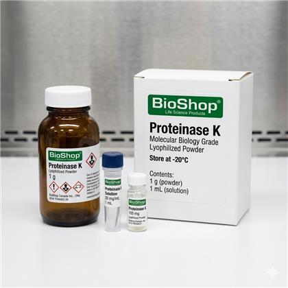 PROTEINASE K (20mg/ml) Solution